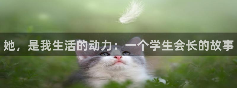 91香蕉漫画免费破解版：她，是我生活的动力：一个学生会长的故事