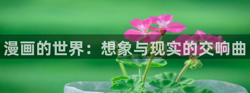 香蕉文化漫画是免费的吗：漫画的世界：想象与现实的交响曲