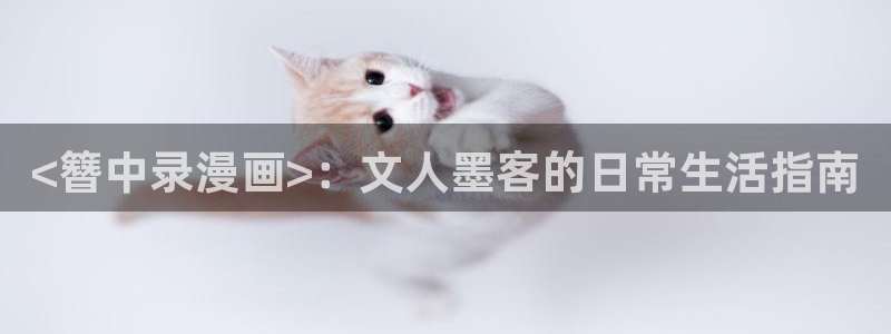 香蕉丑漫画书免费阅读：<簪中录漫画>：文人墨客的日常生活指南