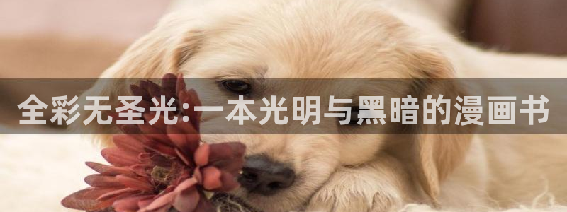 香蕉文化小说漫画：全彩无圣光:一本光明与黑暗的漫画书