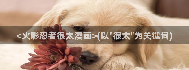 香蕉漫画在线观看页面：<火影忍者很太漫画>(以\