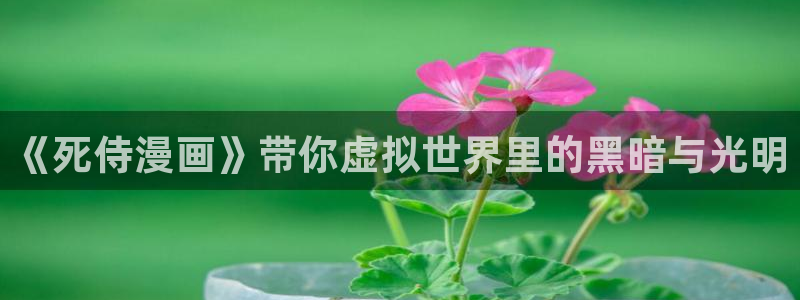 羞羞漫画香蕉漫画：《死侍漫画》带你虚拟世界里的黑暗与光明