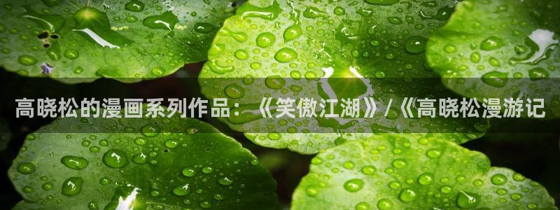 香蕉漫画网入口：高晓松的漫画系列作品：《笑傲江湖》/《高晓松漫游记
